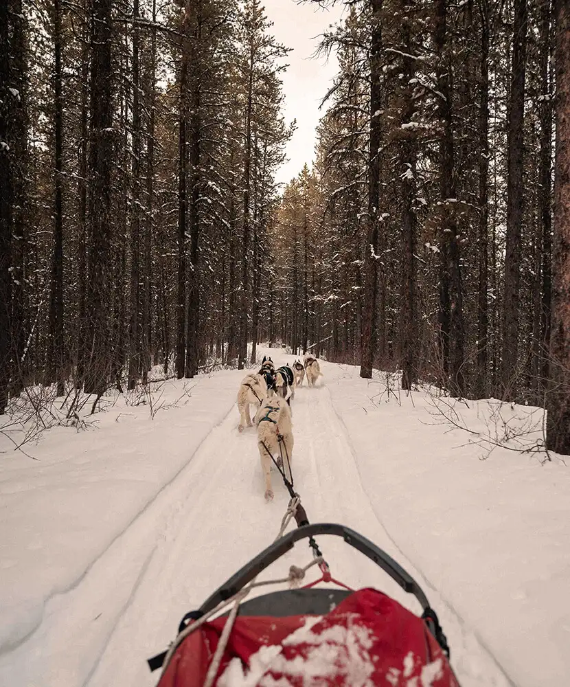 Itinerario-navidad-boreal.webp - Pangea Viajes