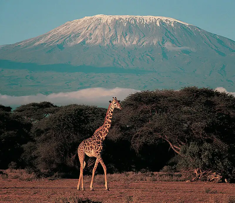 Kenia.webp - Pangea Viajes