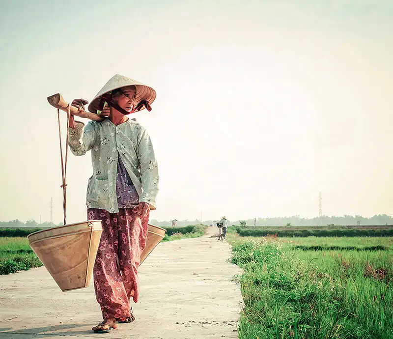 Vietnam.webp - Pangea Viajes