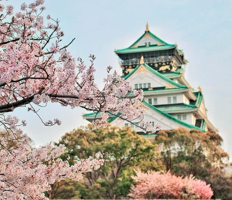 cuando-viajar-japon-primavera.jpg - Pangea Viajes