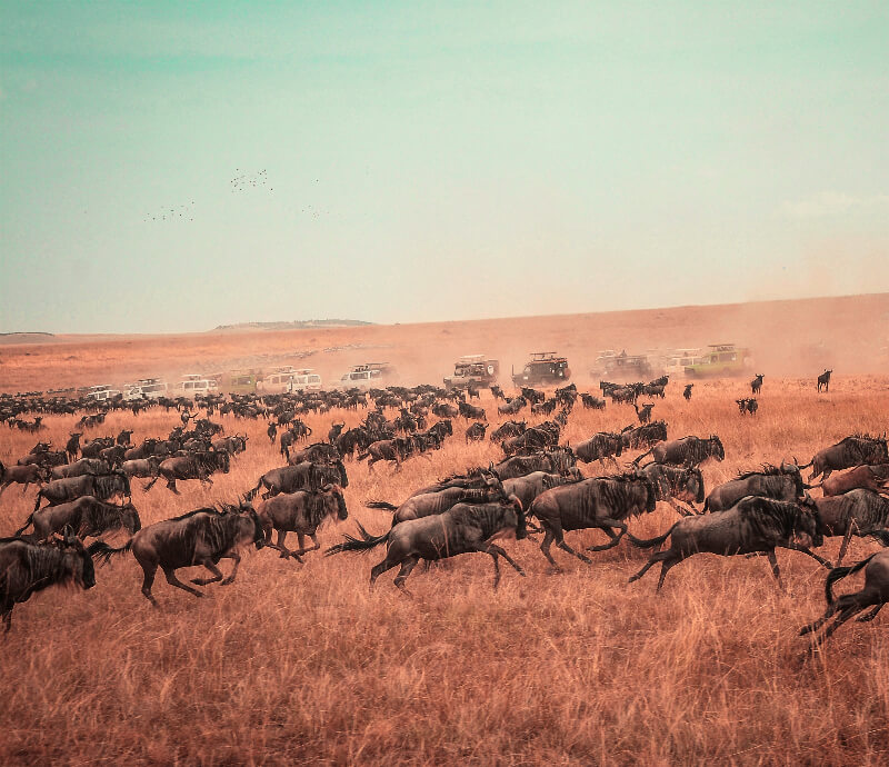 cuando-viajar-kenia-primavera.jpg - Pangea Viajes