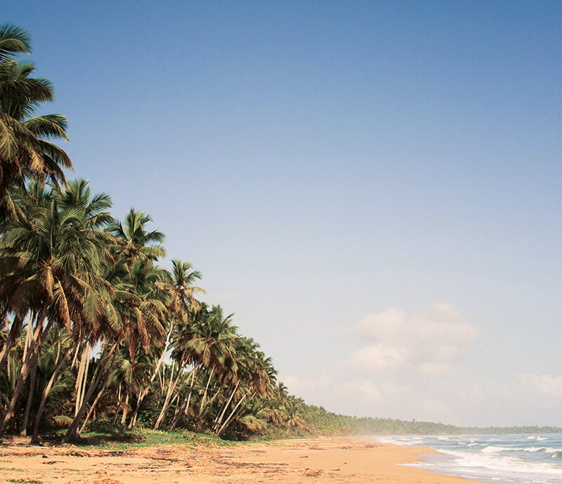 cuando-viajar-republica-dominicana-primavera.jpg - Pangea Viajes