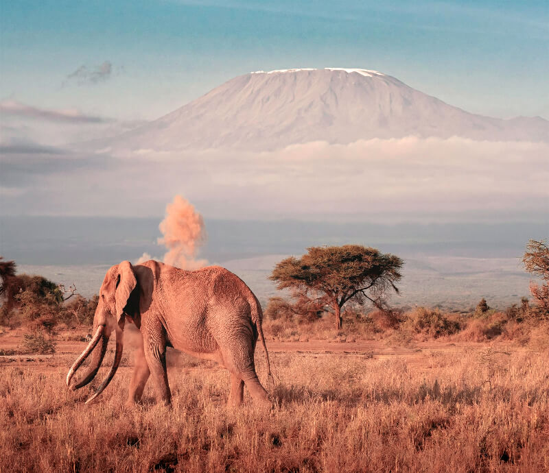 cuando-viajar-tanzania-primavera.jpg - Pangea Viajes