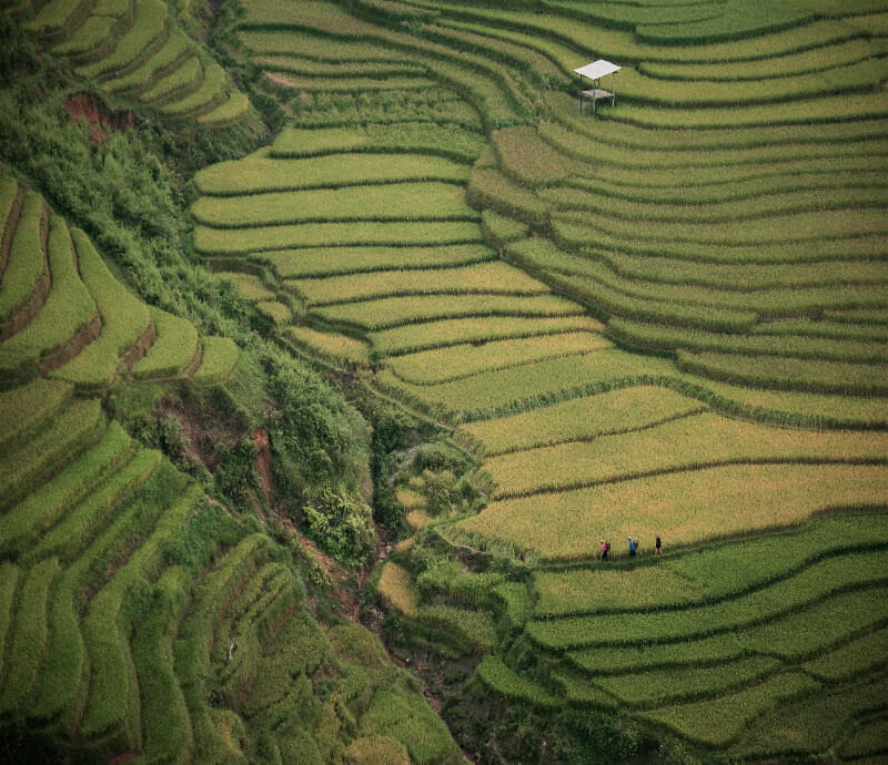 cuando-viajar-vietnam-primavera2.jpg - Pangea Viajes