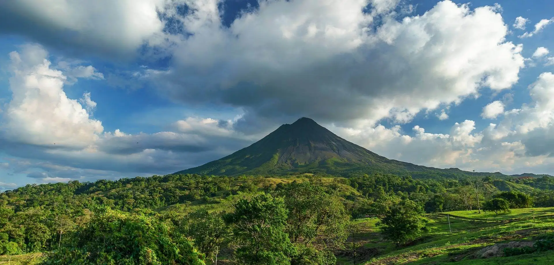 Pura vida