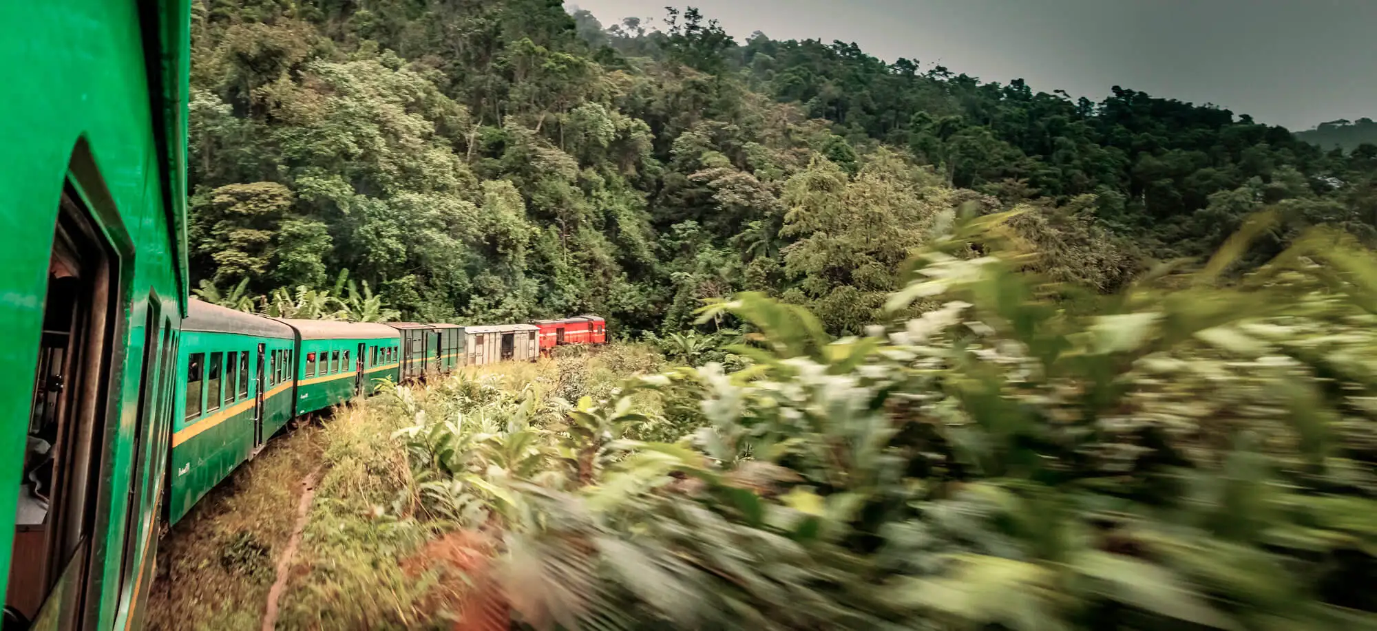 Tren de la Selva