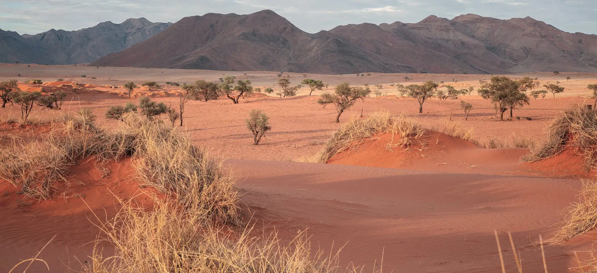  Desierto de Namib
