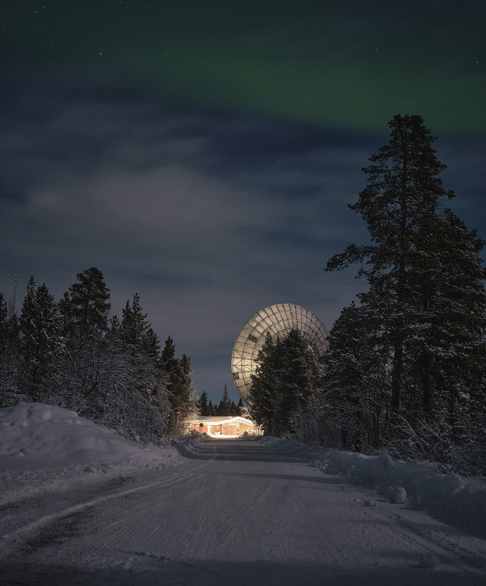 viaje-autor-kiruna-aurora-boreal-observatorio-bosque.jpg - Pangea Viajes