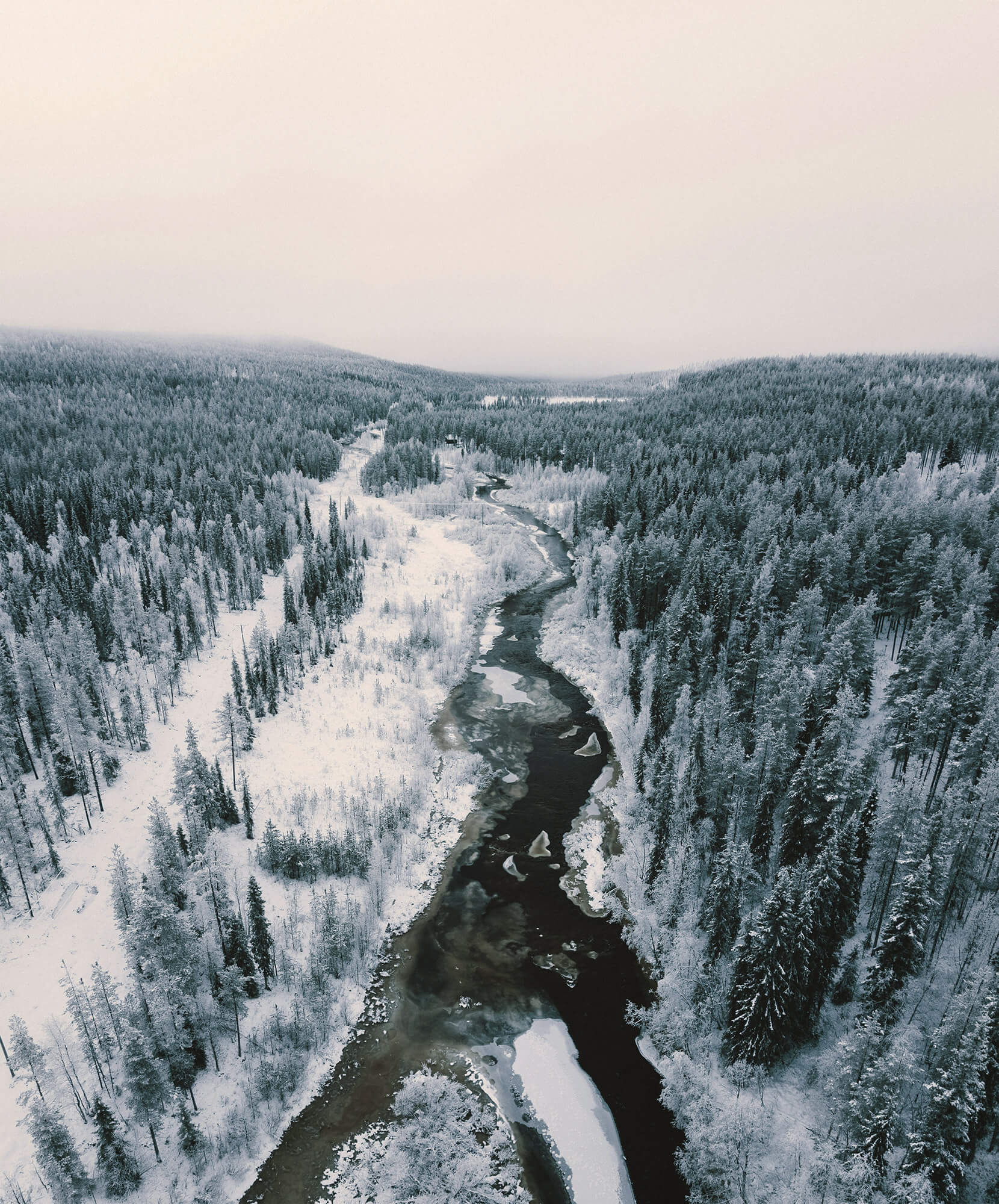 viaje-autor-suecia-nieve-bosque.jpg - Pangea Viajes